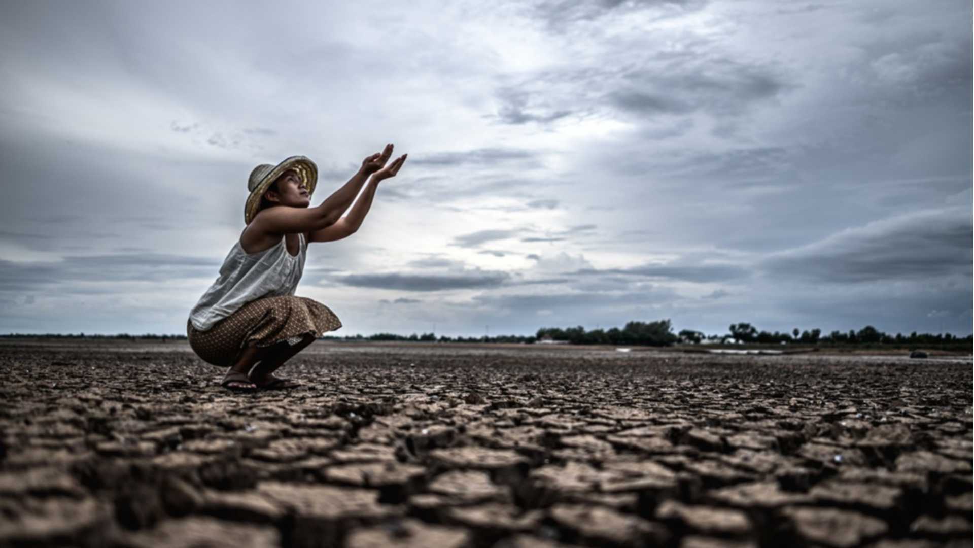 Eco-ansia: quando la preoccupazione per l'ambiente ci paralizza